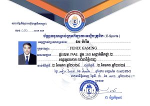 ក្រុមកីឡា Fenix Gaming